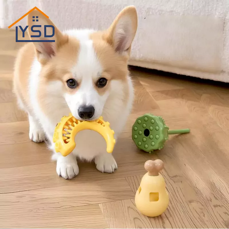 Đồ chơi mọc răng thú cưng